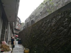 “搬”“治”联动，泰顺县全力助推“除险安居”三年行动