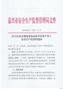 关于转发《嘉兴市安全生产监督管理局关于扎实开展危化品企业节后复产复工安