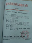 关于成立“破案追逃”战役领导小组的通知