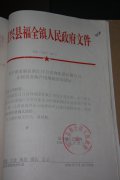 <b>关于要求确认浙江日月首饰集团有限公司在柯东房地产地价的请示</b>