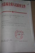 关于钱林同志为浙江绍兴市人造革厂厂长的批复