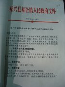 关于开展禁止使用童工情况执法大检查的通知
