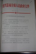 关于怪反镇级基建工程管理的意见