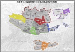 东阳市人民政府关于印发《东阳市控制性详细规划管理规定（试行）》的通知