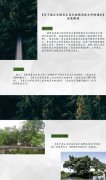 <b>《关于废止古树名木类行政规范性文件的通知》政策解读</b>