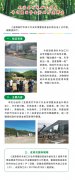《关于龙游县竹木加工行业专项整治资金补助办法的通知》政策解读