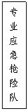 文本框: 专业应急抢险队伍